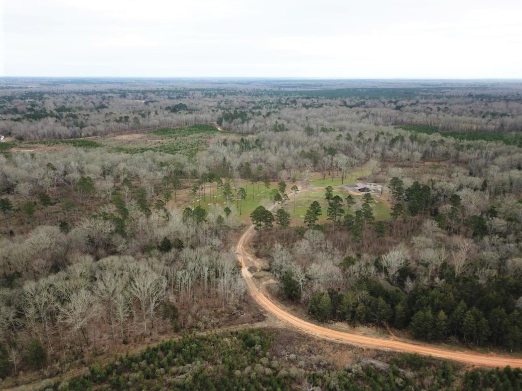 Dallas County Property for Sale - Trees in Forest Behind Clearing