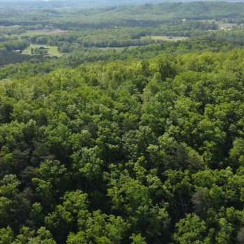 40 +/- Ac - Shelby County - Mountain View Tract