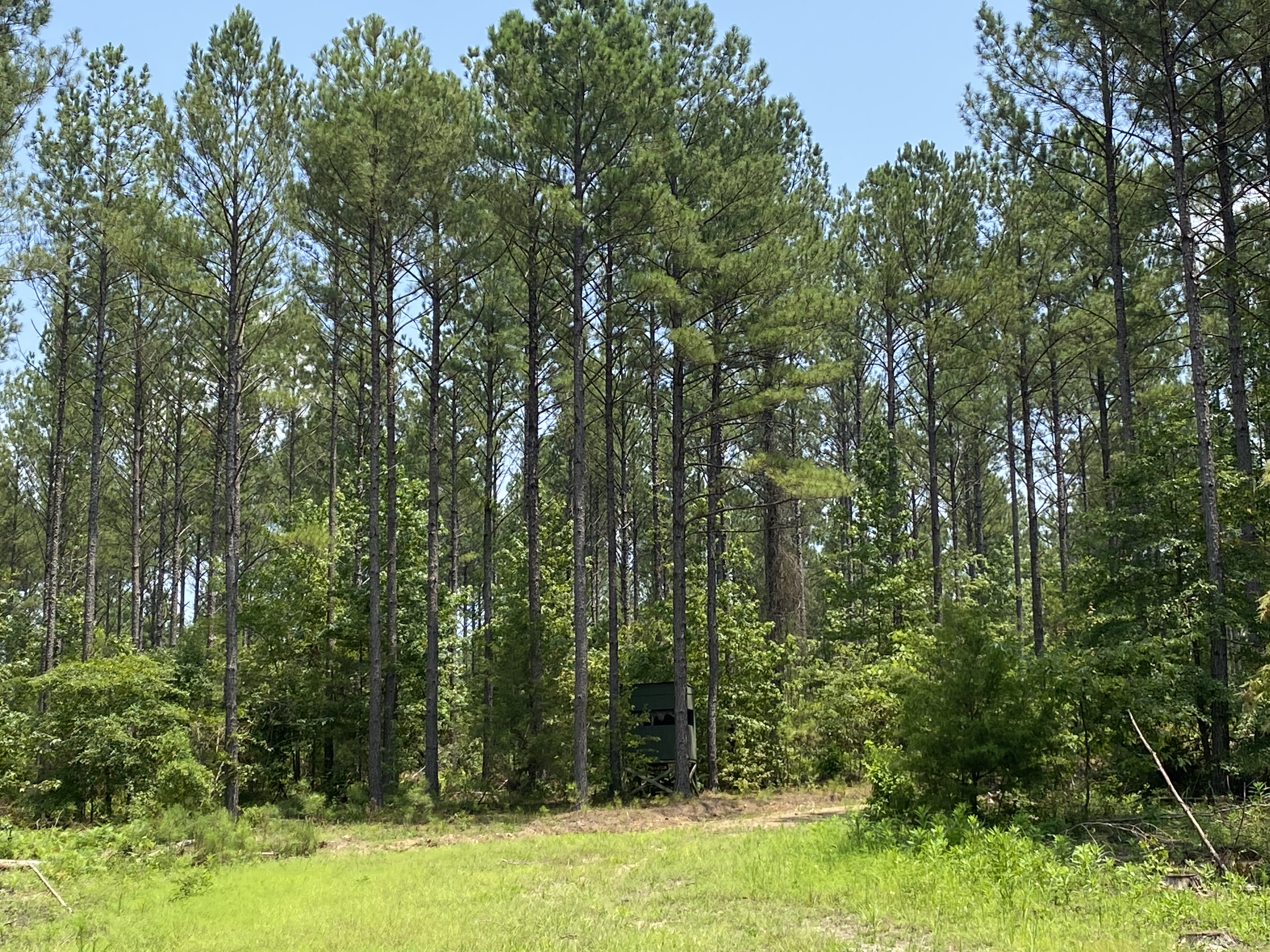 Dudleyville Rd North topo.jpg