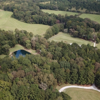 296 +/- Ac - Shelby County - Rocking D Farms