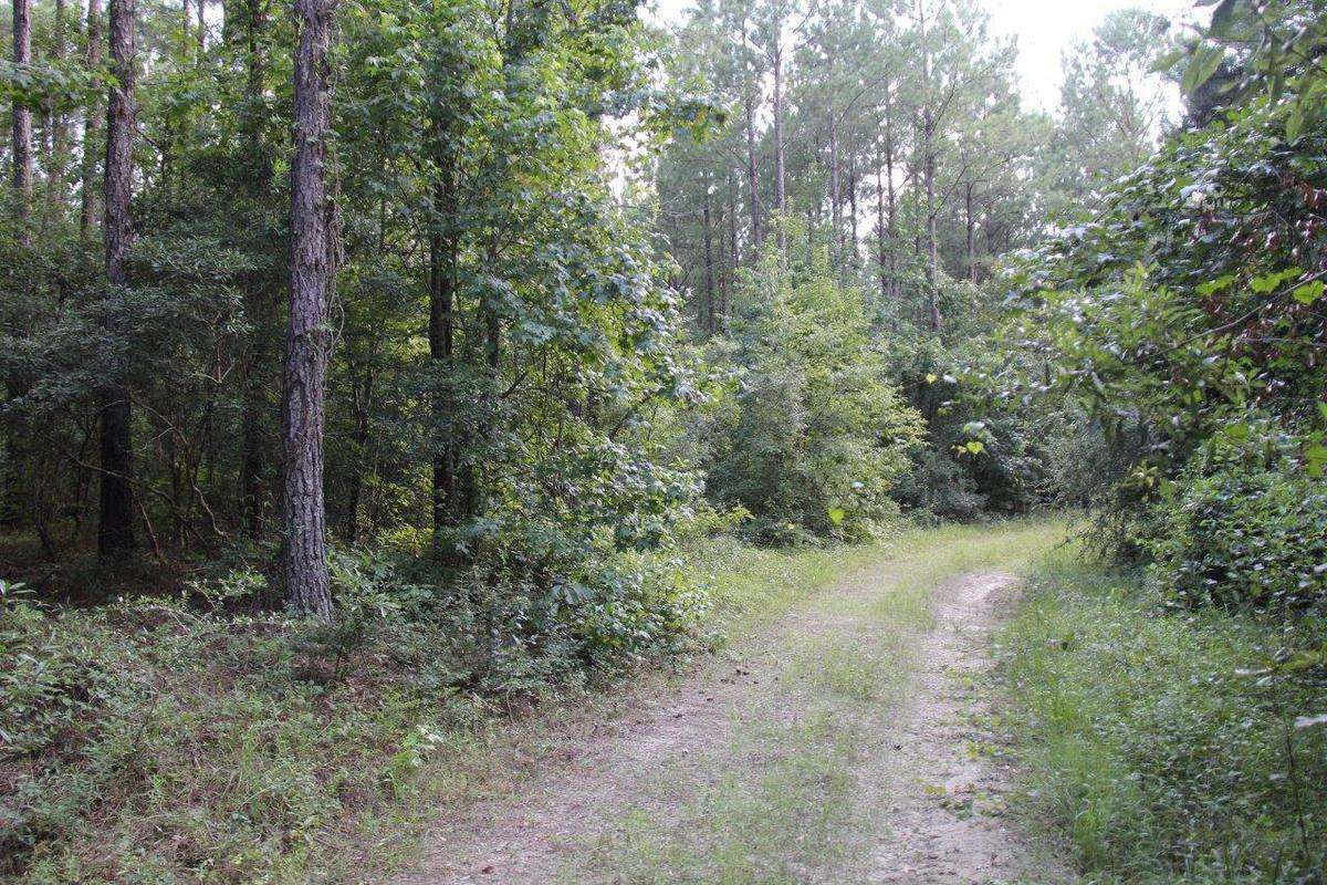 Conecuh County Land for Sale - Property Marked on Map