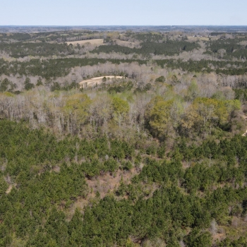 79+/- Acres - Coffee County - Hurricane Creek Tract