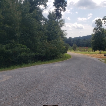 SOLD-28ac-St.Clair Co.-MT. Springs Rd. Tract