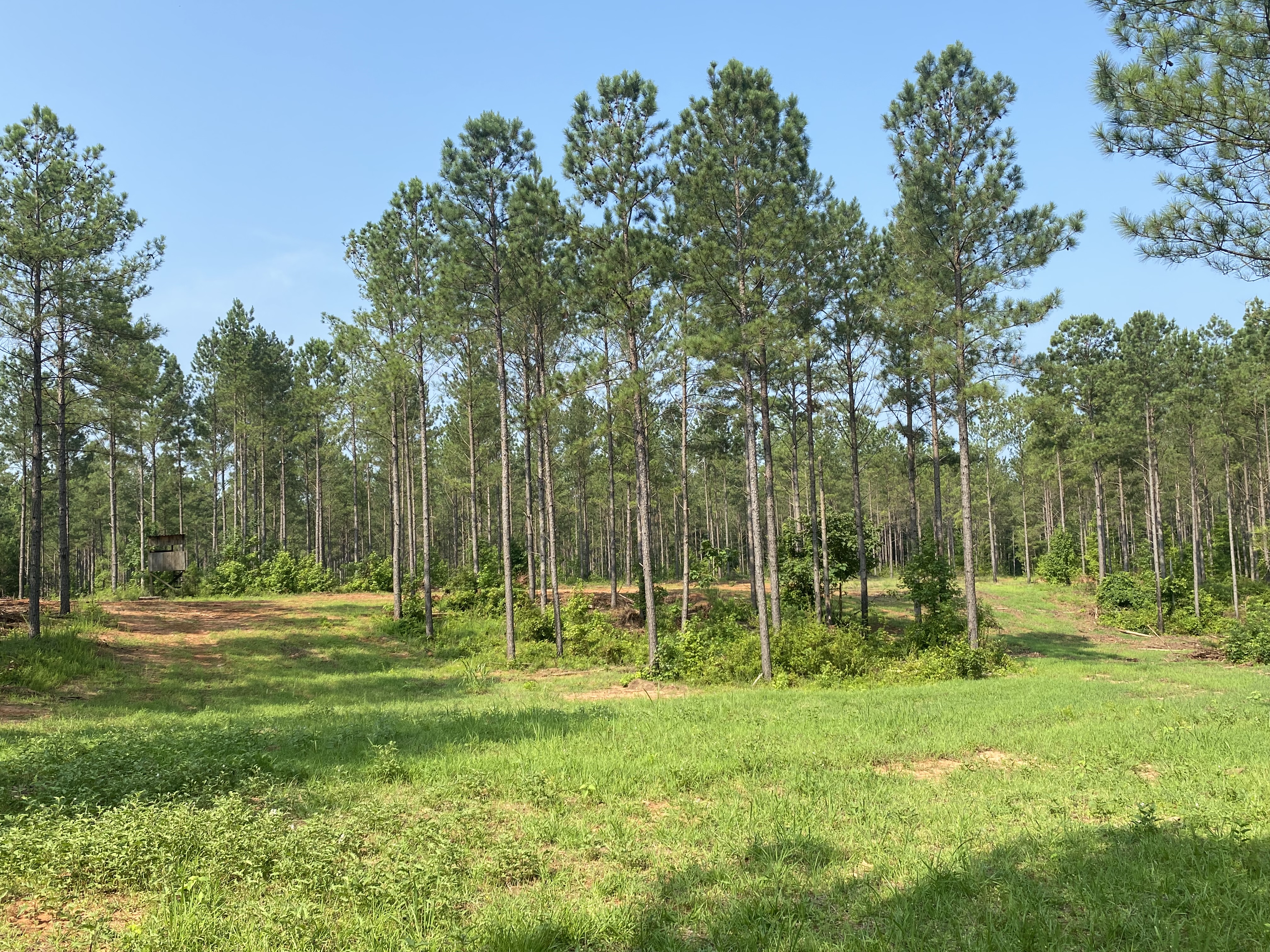 Herndon Land LLC Troup Co topo.jpg