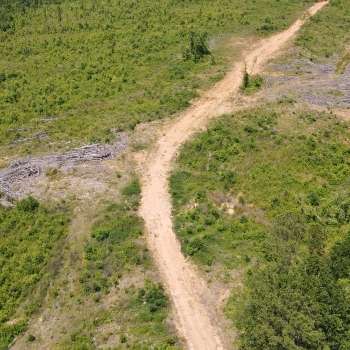 Whynot-120ac-Lauderdale Co., MS