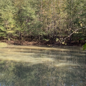 66 Ac - Talladega County - Plantersville Tract