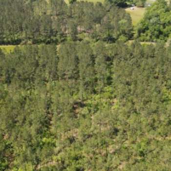 50 Ac - Geneva County - Somerset Farm