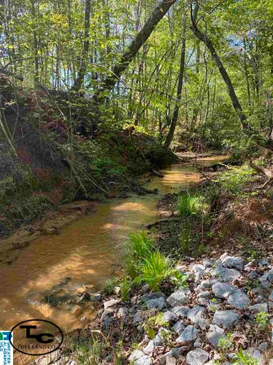 Creek Tract3.jpg