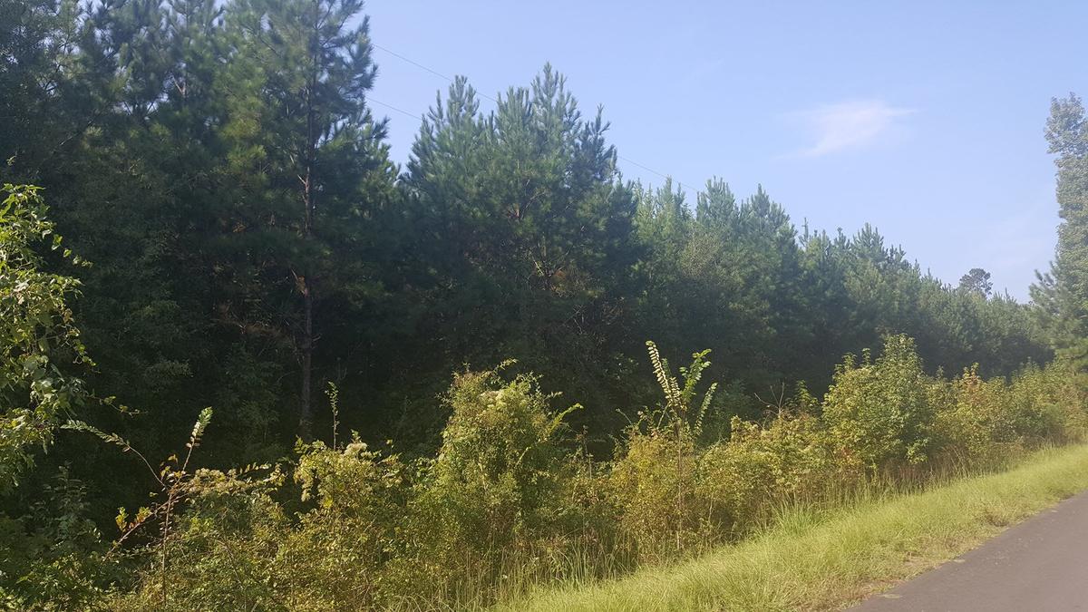 20170920_094217.jpg
