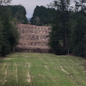 Co Rd 9 Longleaf Tract-79ac-Choctaw County, AL