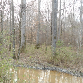 160 Ac. - Lauderdale County, MS - Ponta Creek Tract