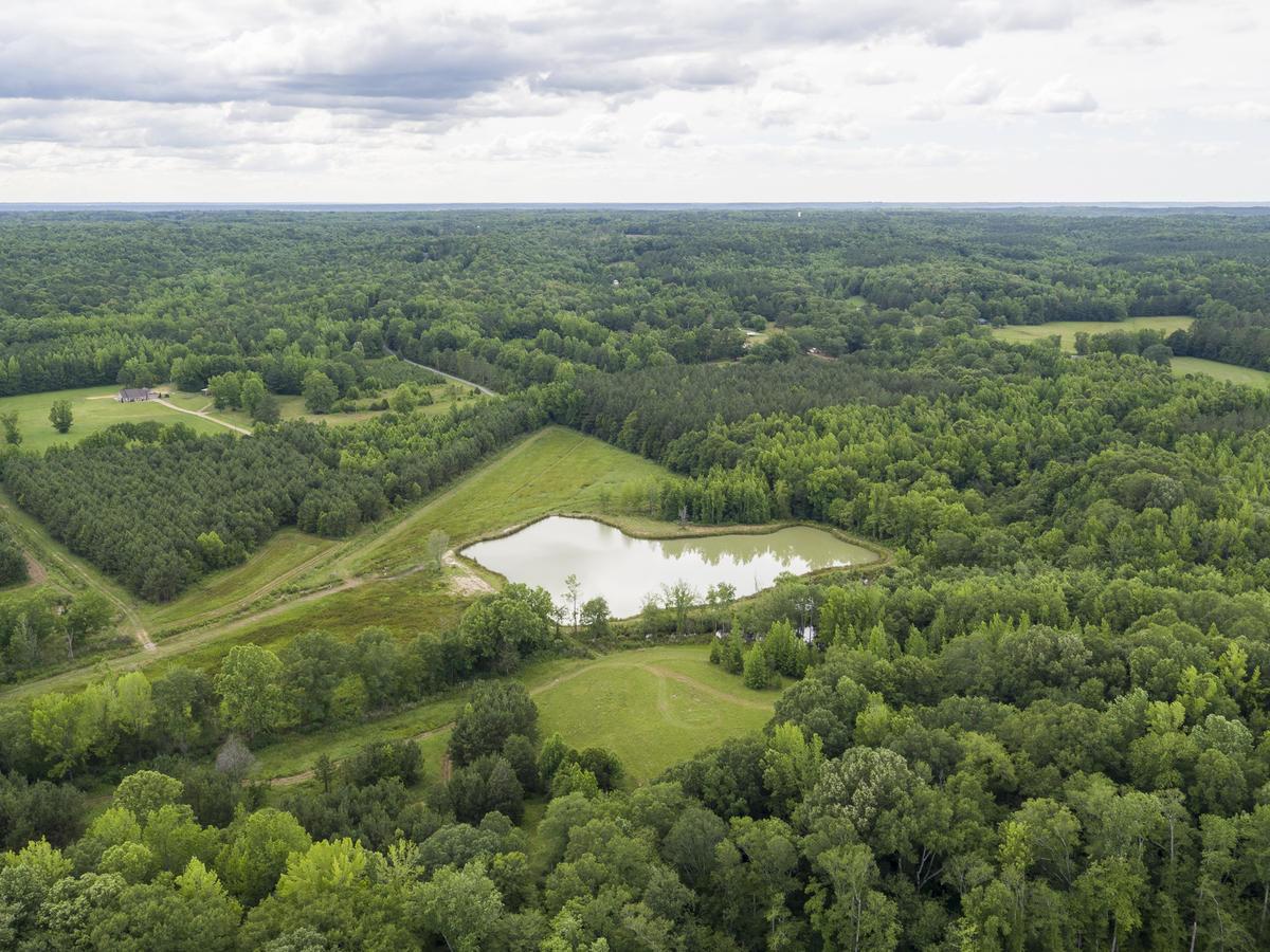 Lamar County Property for Sale - Dirt Path in Woods