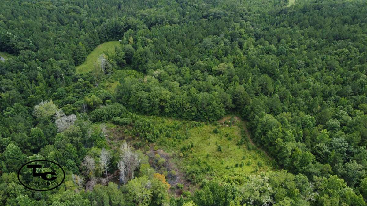 29.6ac - Tallapoosa Co - Barrett Rd Tract30.jpg