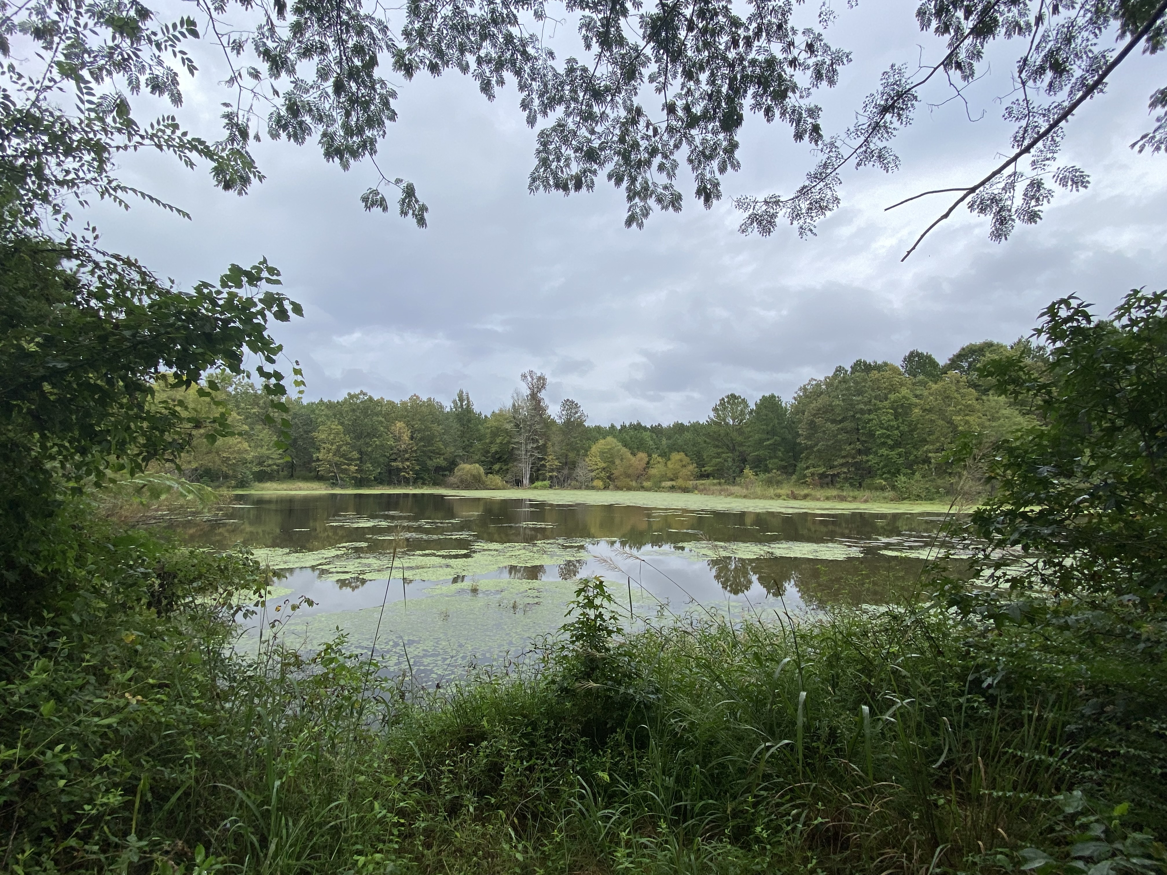 Dickson 36 ac topo.jpg