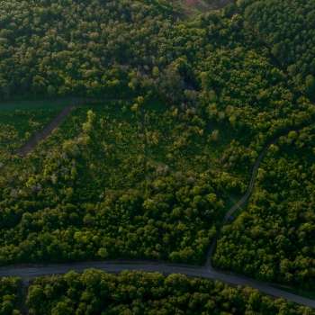 22 +/- Acres - Lawrence County, AL - Pine Tops Plantation Tract 6