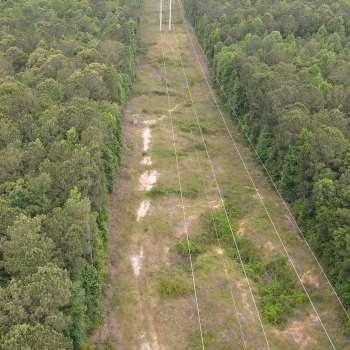 Powerline Tract-38.5ac-Lauderdale MS