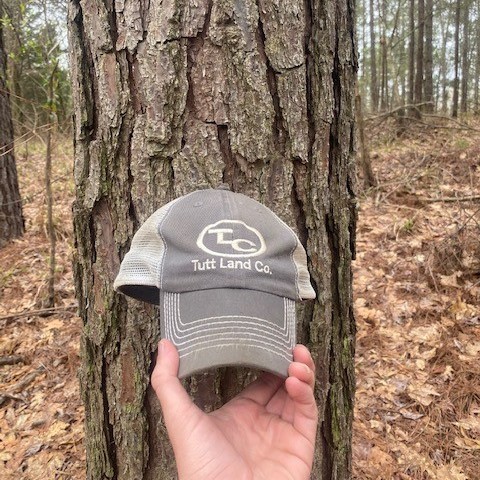 828ac-benton-tract-tyler-lowndes-county-alabama-201576-7ZhrYz.jpg