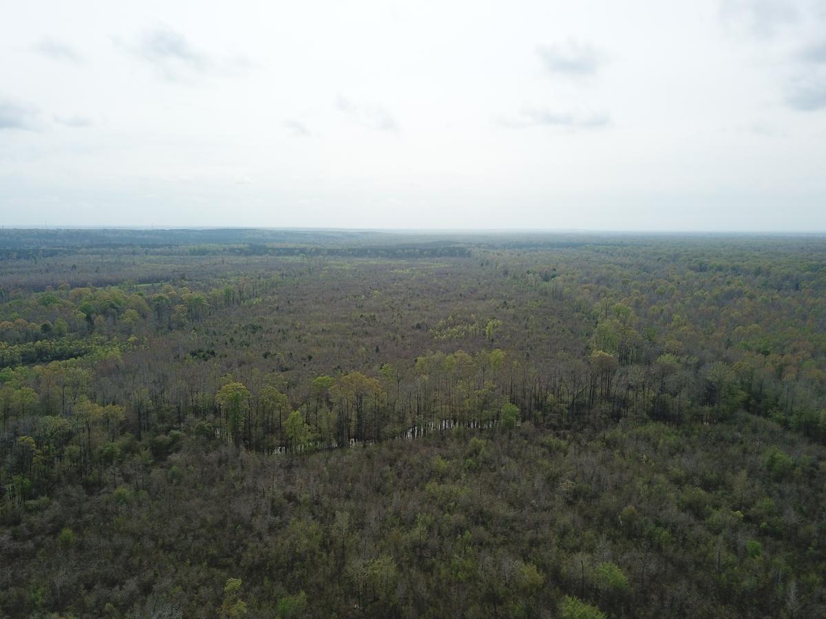 Coppolino-490 ac-Marengo Co-Myrtlewood Tract.jpg
