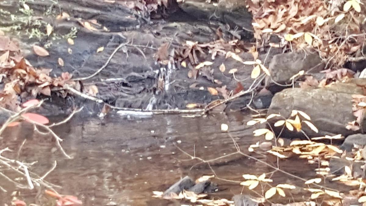 20161209_090501.jpg