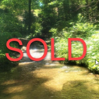 SOLD- 39ac-Burton Loop Tract