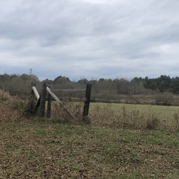 46 Ac - Dekalb Co - Bradford/Hall Tract
