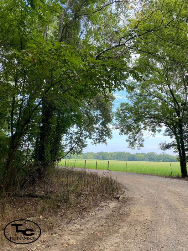 40 +/ Acres Lawrence County, AL North AL Hunting & Timber