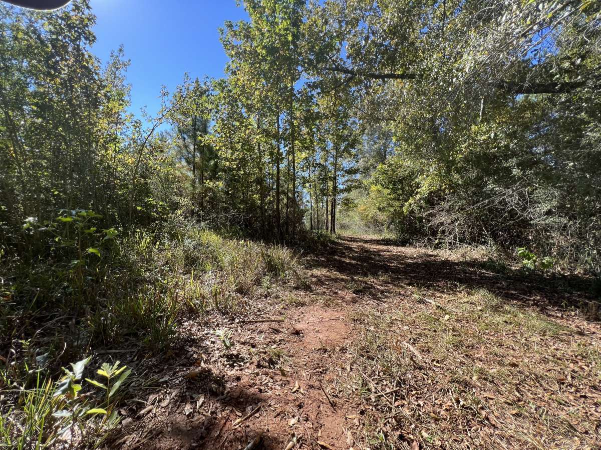 6 Ac Geneva Co Reeves Road Homesite