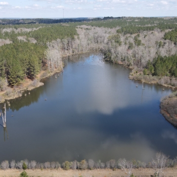 85+/- acres - Barbour County - Big Creek Spring Tract