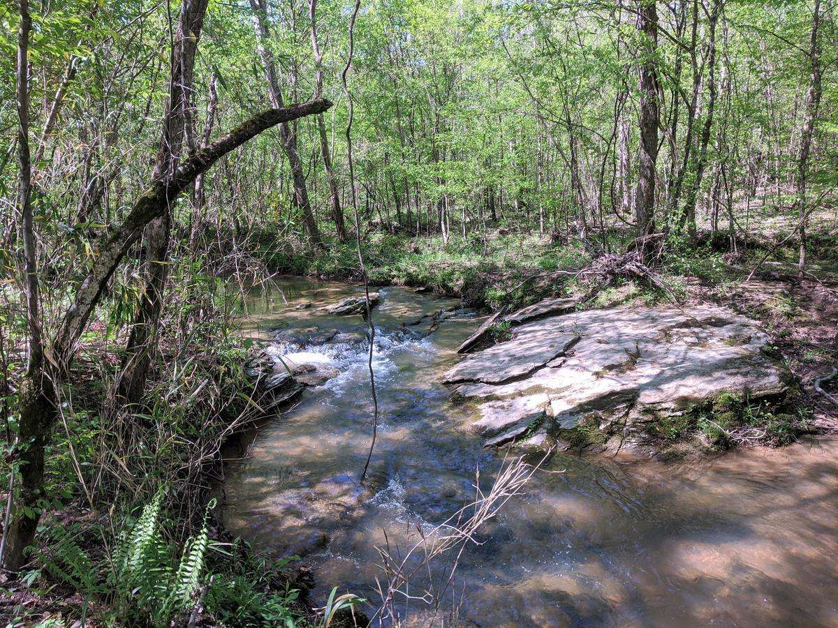 117 Acres - Chilton Co. - River Branch Tract