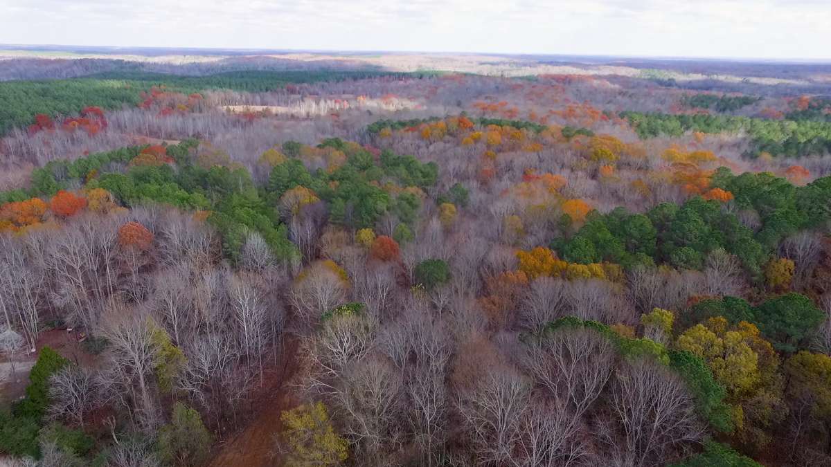 Aerial Imagery