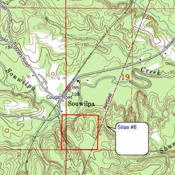 Silas Tract #8-40ac- Choctaw Co. AL
