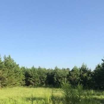43ac-Washington County-Millry Pine Plantation