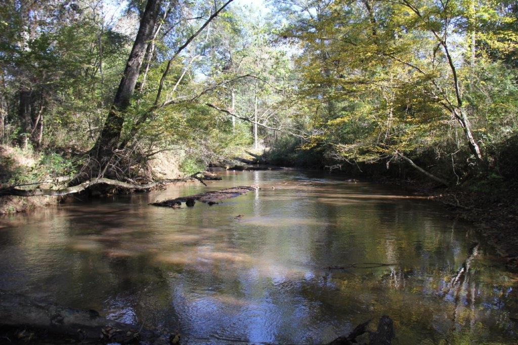 Barbour Creek Topo.png