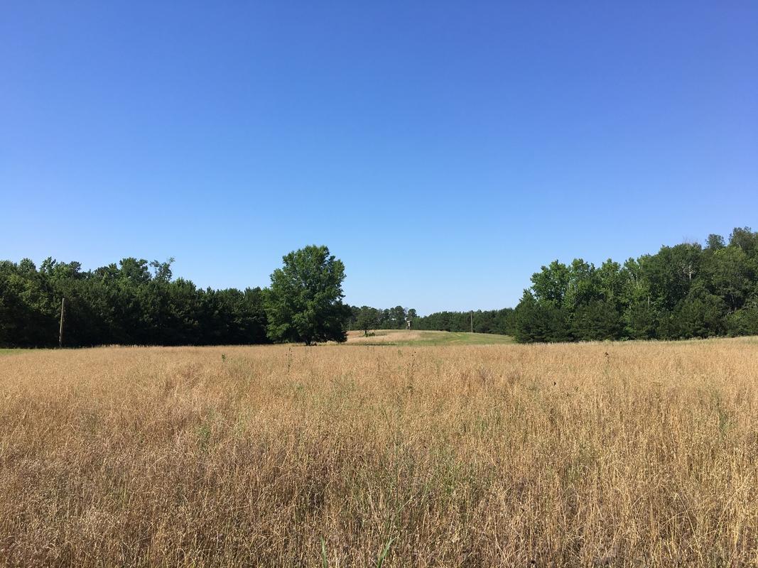 Belk Tract - 415 acre topo.jpg