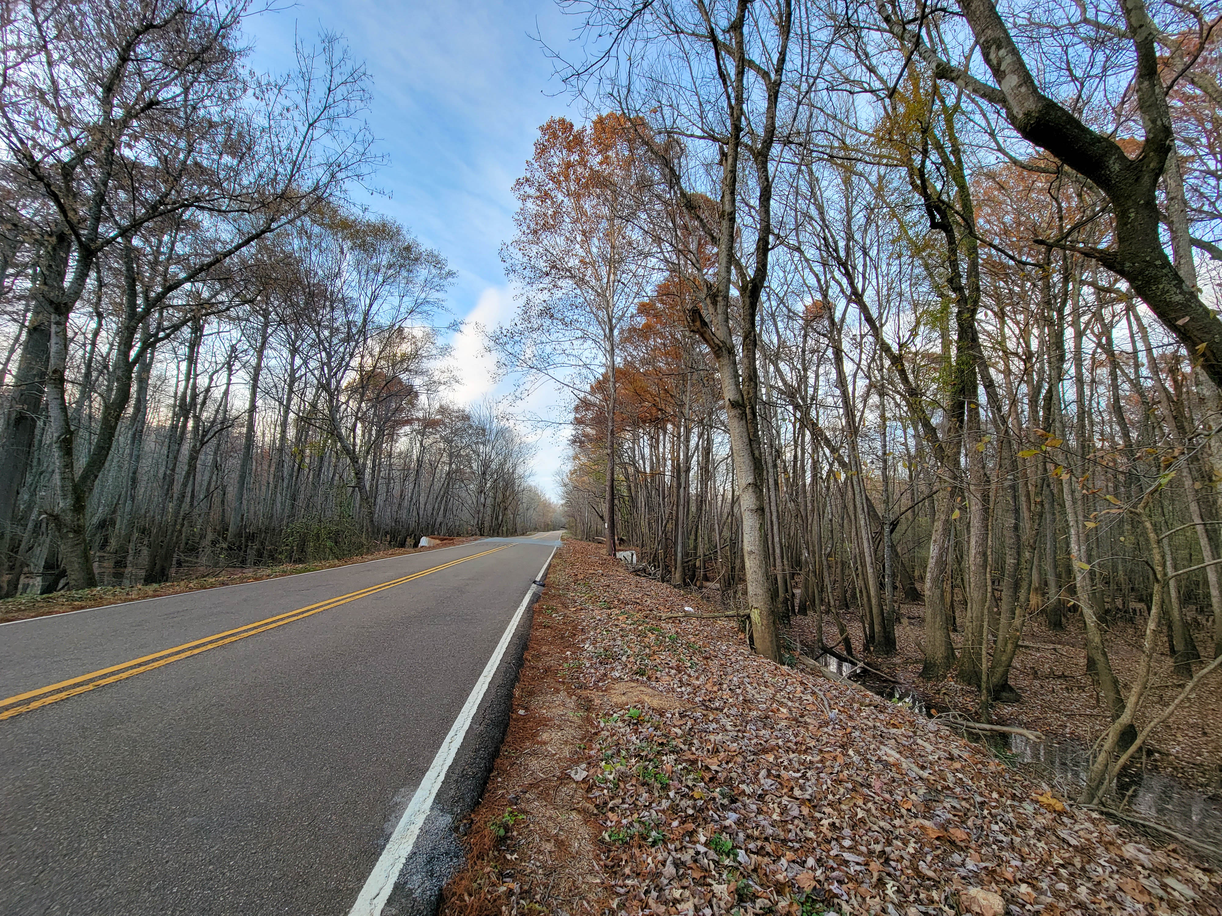 DJI_0084.00_03_02_00.Still003.jpg
