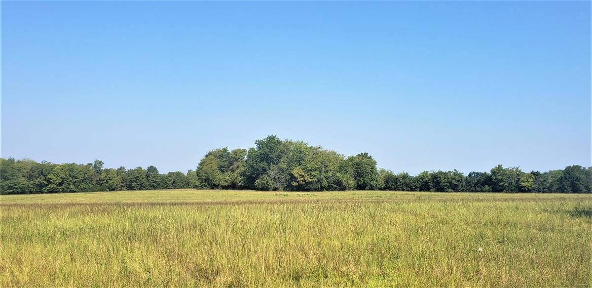Field
