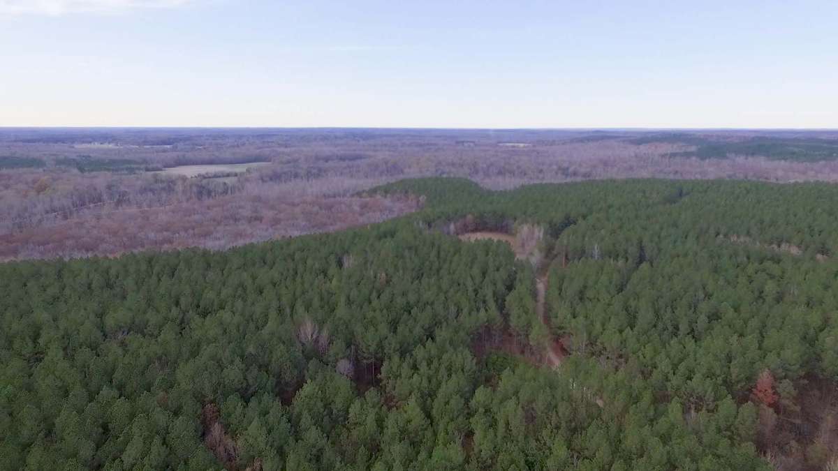 DJI_0006.00_02_01_10.Still005.jpg