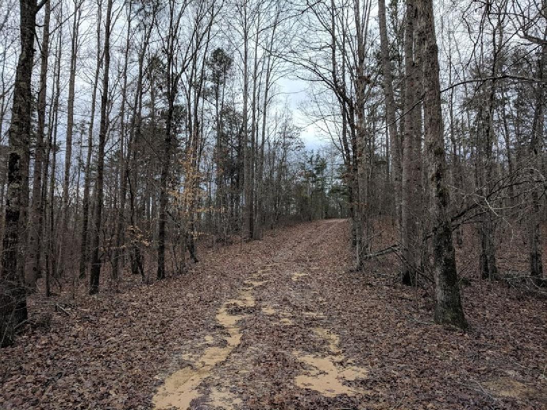 Dodd Tract (17)-1.jpg