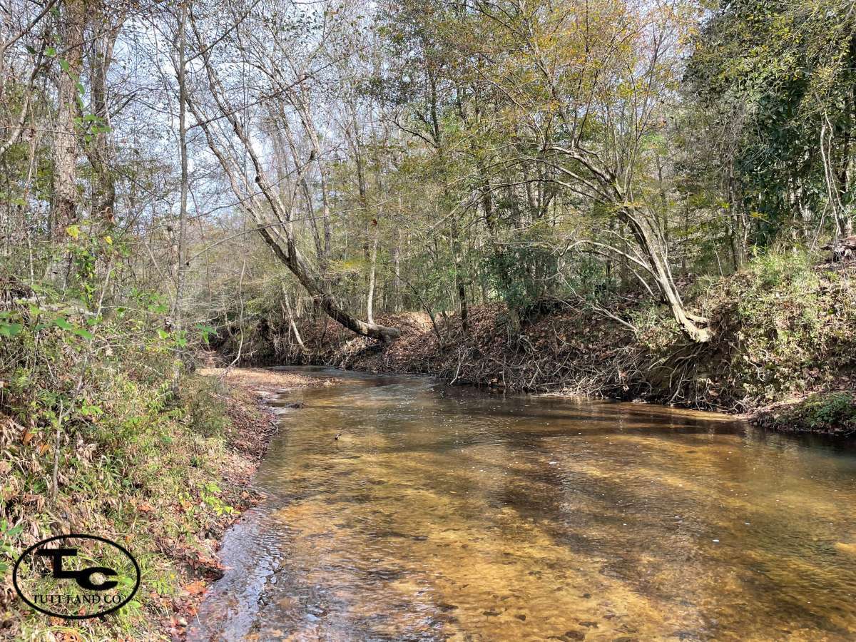 Tallawampa Creek Tract30.jpg