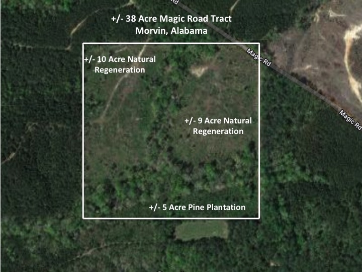 Magic Road 4