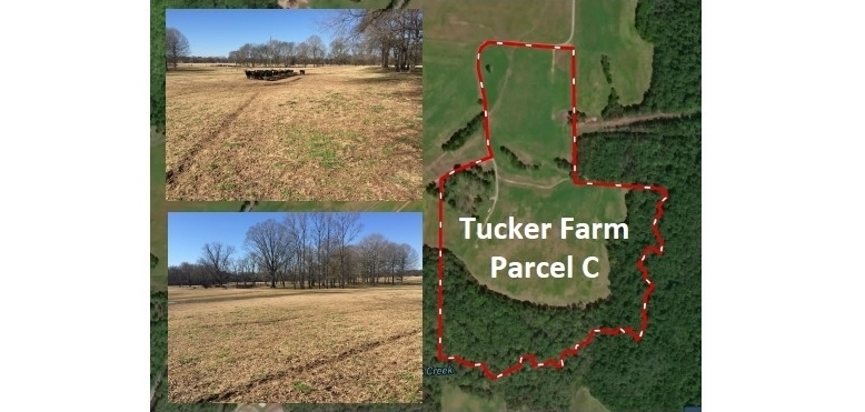 Jason Tucker Farm 2 (Page 16).jpg
