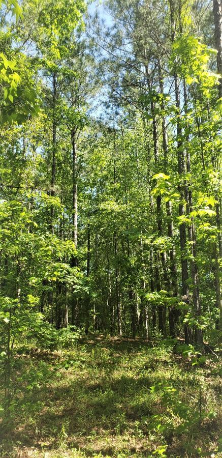 Marengo County Property for Sale - Lot Outlined on Map