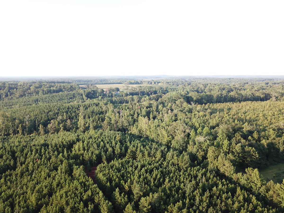 DJI_0004-1.jpg