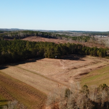 475 Ac - Tuscaloosa County - Hilltop Farms