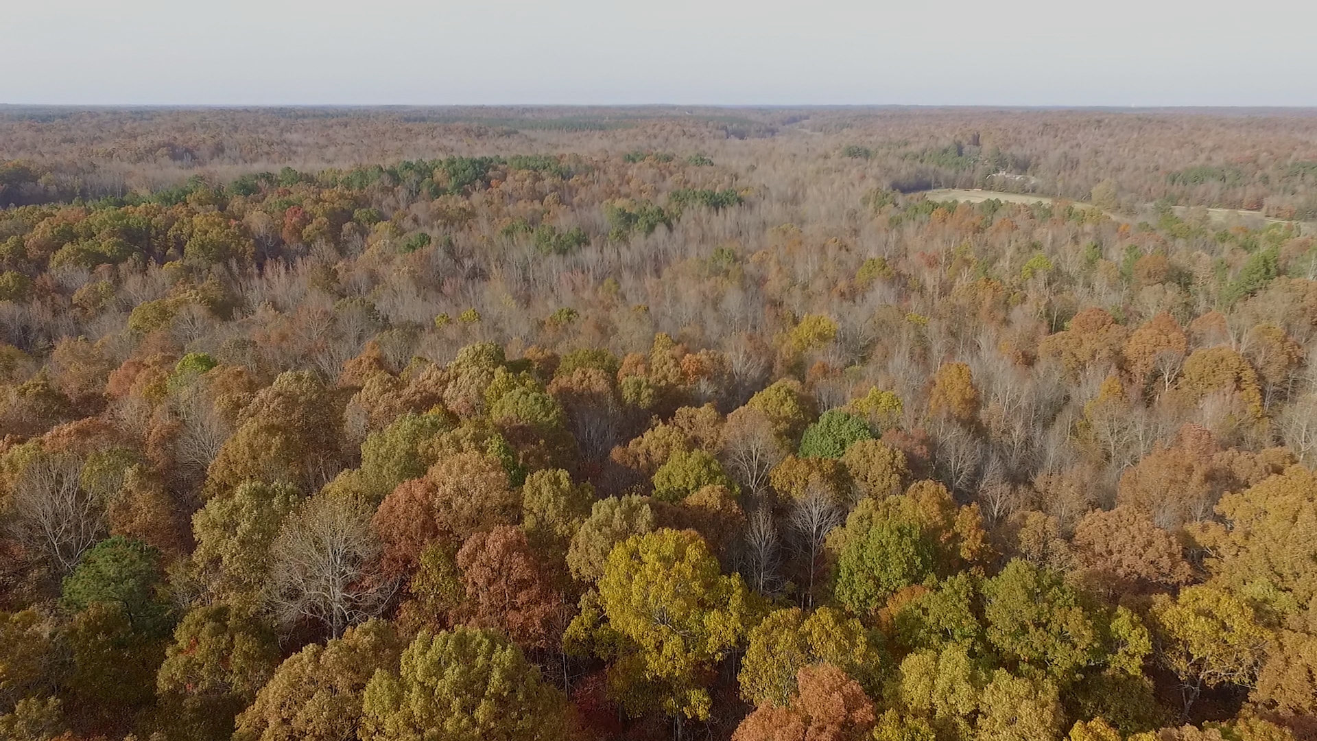 DJI_0081.00_02_21_00.Still006.jpg