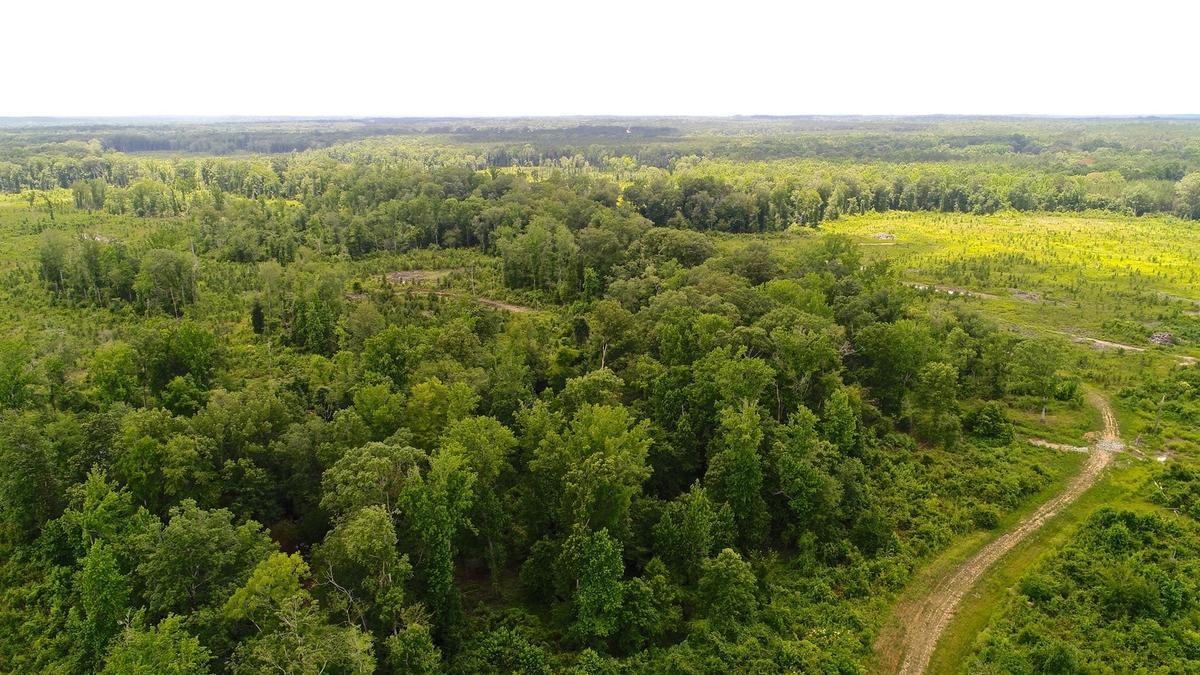 DJI_0350.JPG