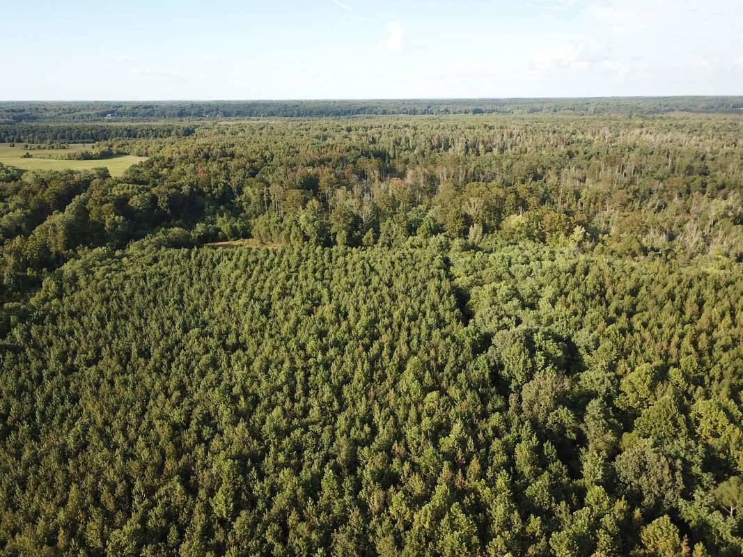 DJI_0069.JPG