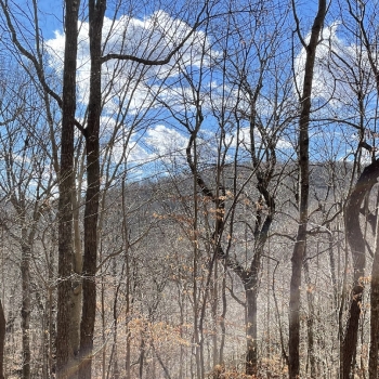 10 +/- Ac - Madison County - Mountain View Tract