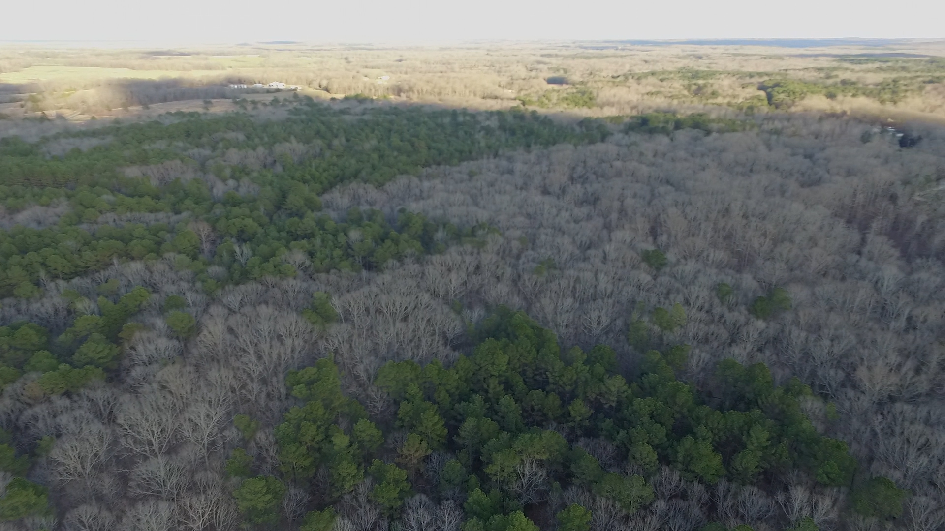 DJI_0086.00_01_23_13.Still007.jpg