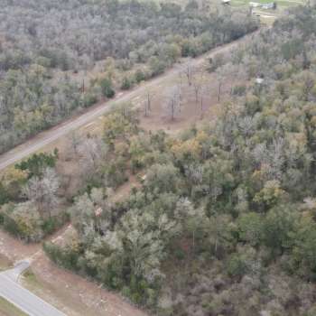 10 +/- acres - Houston Co, Alabama - Melton Road Tract